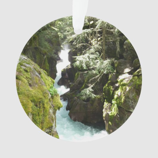 アバランシェ渓谷IIアットグレイシャナショナルパーク オーナメント (正面)