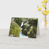 アバランシェ渓谷IIアットグレイシャナショナルパーク カード (黄色い花)