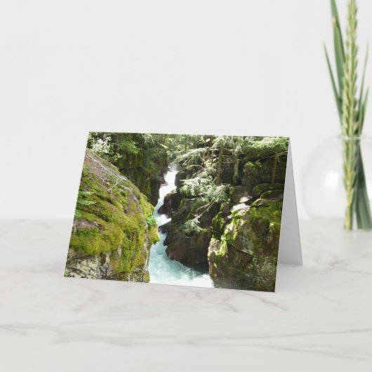 アバランシェ渓谷IIアットグレイシャナショナルパーク カード (正面)