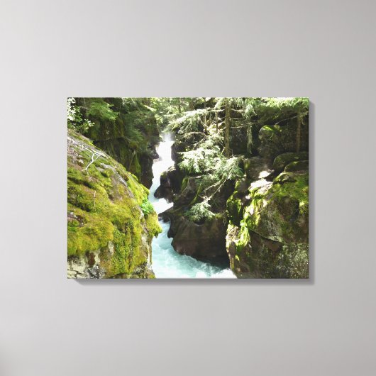 アバランシェ渓谷IIアットグレイシャナショナルパーク キャンバスプリント (正面)