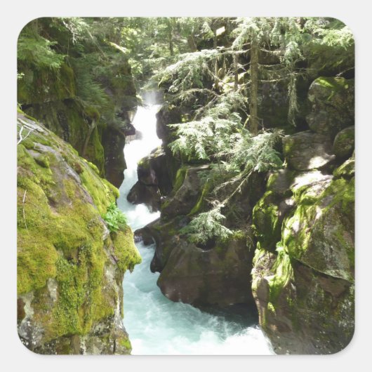 アバランシェ渓谷IIアットグレイシャナショナルパーク スクエアシール (正面)