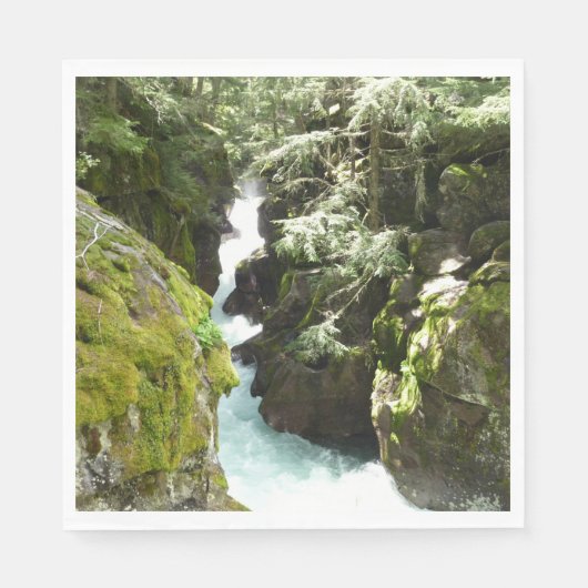 アバランシェ渓谷IIアットグレイシャナショナルパーク スタンダードランチョンナプキン (正面)