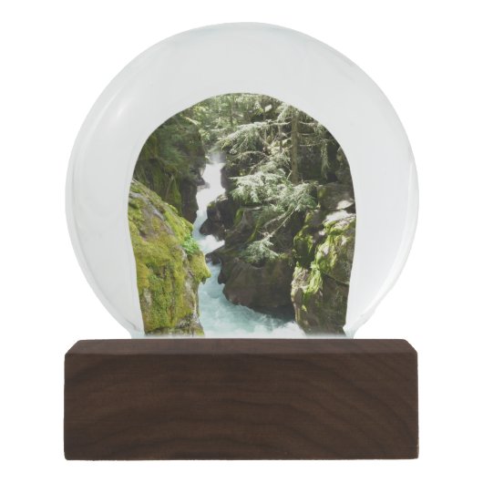 アバランシェ渓谷IIアットグレイシャナショナルパーク スノーグローブ (正面)