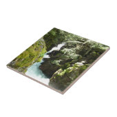 アバランシェ渓谷IIアットグレイシャナショナルパーク タイル (側面)