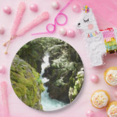 アバランシェ渓谷IIアットグレイシャナショナルパーク ペーパープレート (パーティー)