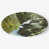 アバランシェ渓谷IIアットグレイシャナショナルパーク ペーパープレート (アングル)