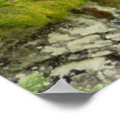 アバランシェ渓谷IIアットグレイシャナショナルパーク ポスター (角)