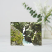 アバランシェ渓谷IIアットグレイシャナショナルパーク ポストカード (スタンド正面)