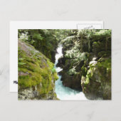 アバランシェ渓谷IIアットグレイシャナショナルパーク ポストカード (正面/裏面)