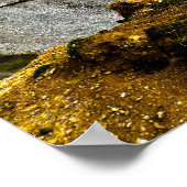 アバリストウィスノースビーチ ポスター (角)