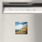 アバリス マグネット (インサイチュ (食洗機))