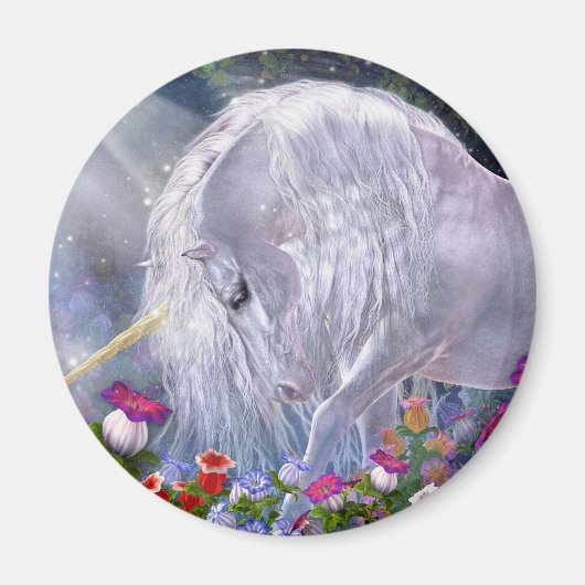 アバロン磁石 マグネット (正面)