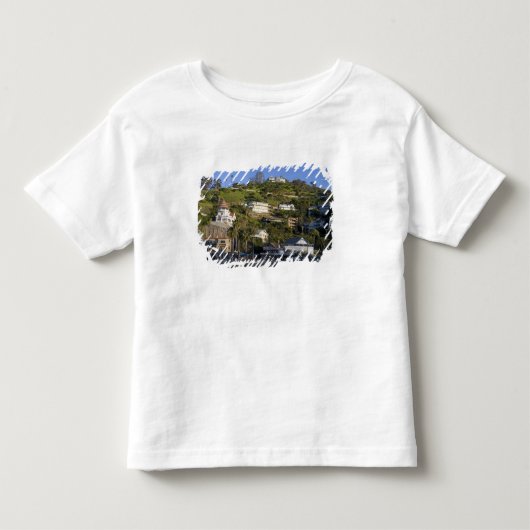 アバロン·カタリーナ島の町 トドラーTシャツ (正面)
