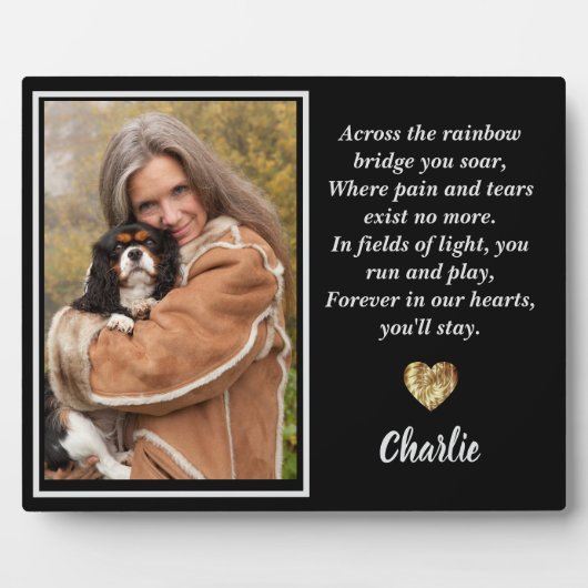 アバーンスザレインボーブリッジキングチャールズスパニエル犬 フォトプラーク (正面)