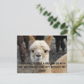 アパカバッグ ポストカード (スタンド正面)