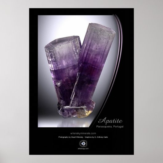 アパタイト ポスター (正面)