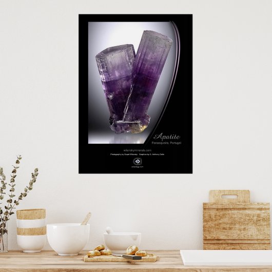 アパタイト ポスター (キッチン)