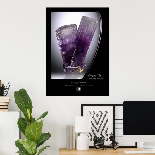 アパタイト ポスター (ホームオフィス)