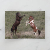 アパッチのポートレートワイルドホースグリーティングカード カード (内部)