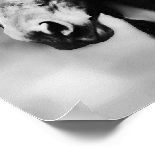 アパッチの馬 ポスター (角)