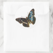 アパトゥラ虹彩雄 ラウンドシール (バッグ)