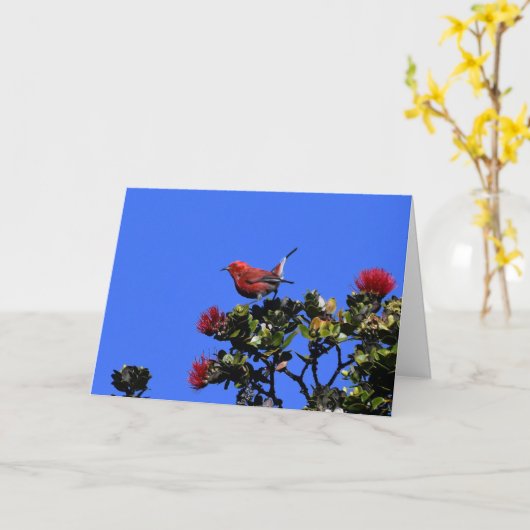 「アパネ小赤鳥 カード (黄色い花)