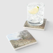 アパラアイチャントレイルストーンコースター ストーンコースター (横)