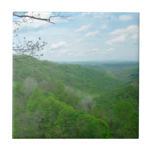 アパラチかわいらしアン大目 タイル (正面)