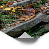 アパラチアのトレイルのポスターに進む ポスター (角)