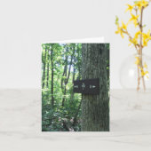 アパラチアのトレイルカード カード (黄色い花)