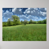 アパラチアの緑の風景 ポスター (正面)