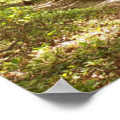 アパラチアの遊歩道の野生のタキ ポスター (角)