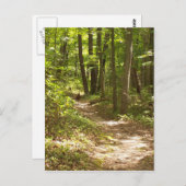アパラチアンの小道の七面鳥 ポストカード (正面/裏面)