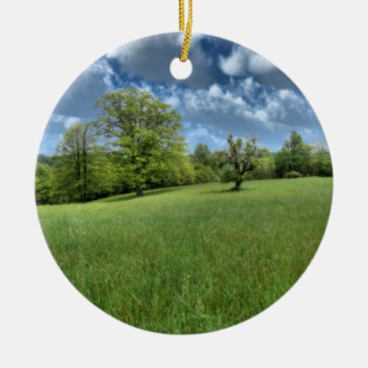 アパラチアングリーンオーナメント セラミックオーナメント (正面)