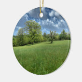 アパラチアングリーンオーナメント セラミックオーナメント (左)