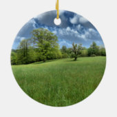 アパラチアングリーンオーナメント セラミックオーナメント (裏面)