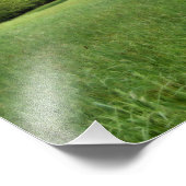 アパラチアングリーンフォトプリント フォトプリント            (角)