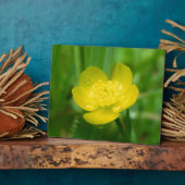 アパラチアン・バターカップ写真プラーク フォトプラーク (側面)