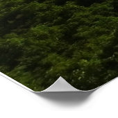 アパラチア山脈から眺めるグレイソン・ハイランズ ポスター (角)