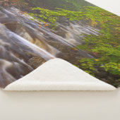 アパラチア山脈に沿って流れる小川 シェルパブランケット (3/4)