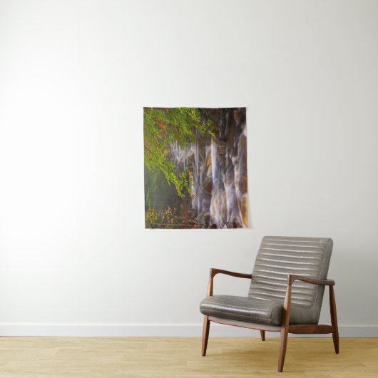 アパラチア山脈に沿って流れる小川 タペストリー (インサイチュ)