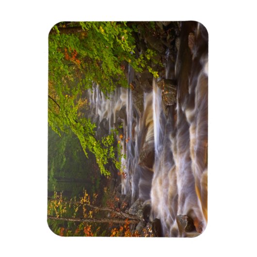 アパラチア山脈に沿って流れる小川 マグネット (縦)