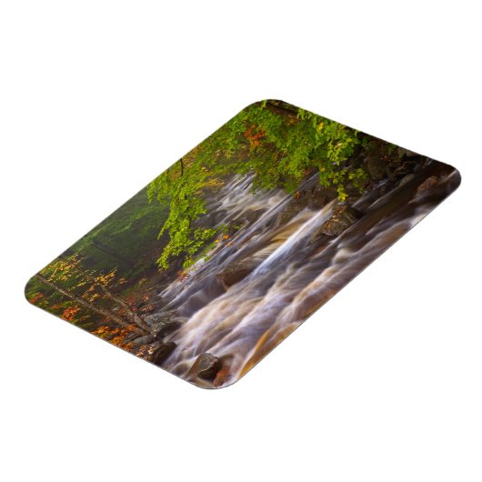 アパラチア山脈に沿って流れる小川 マグネット (左側)