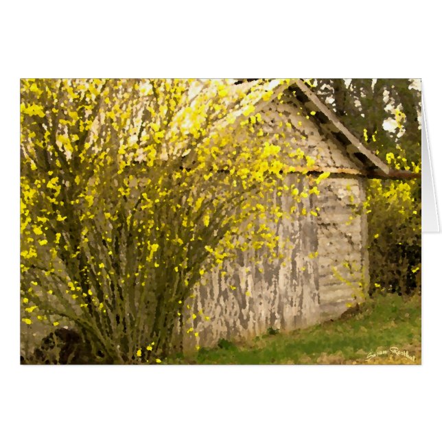 アパラチア山脈の春 (正面横)