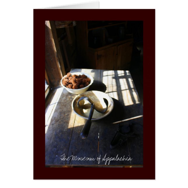 アパラチア山脈の生命 (正面)