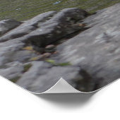 アパラチア山脈の美しい滝 ポスター (角)