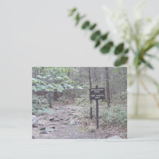 アパラチア山脈の道のペンシルバニアの南山 ポストカード (スタンド正面)