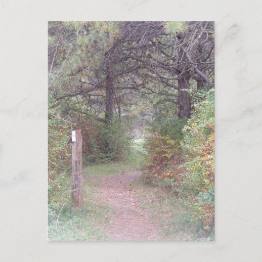 アパラチア山脈の道の秋ペンシルバニア ポストカード (正面)