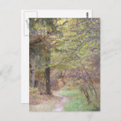 アパラチア山脈の道の秋ペンシルバニア ポストカード (正面/裏面)