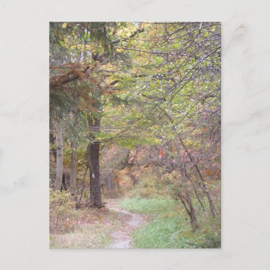 アパラチア山脈の道の秋ペンシルバニア ポストカード (正面)